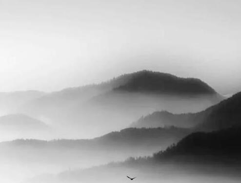 鱸魚產(chǎn)于哪里?吃鱸魚有哪些好處?