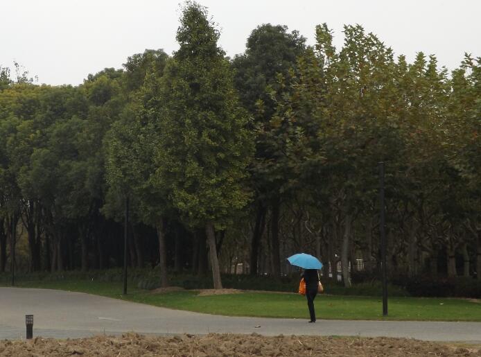 饒穎日記是真的嗎?饒穎日記爆趙忠祥性虐待