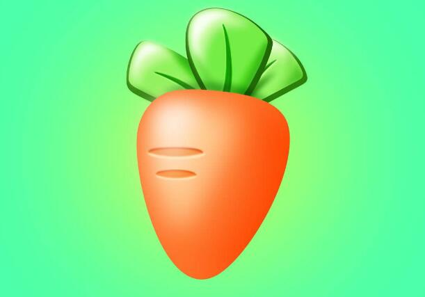 五行蔬菜湯的價(jià)格功效作用,五行湯怎么做?