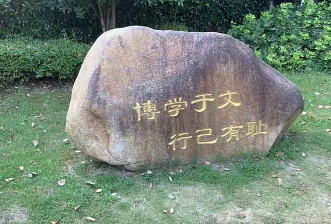 蘭香子的功效與作用有哪些?蘭香子禁忌