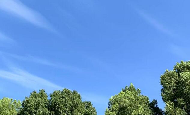 五苓散的功效與作用,海虹淡菜的功效與作用