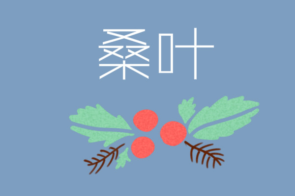 桑葉茶的功效與作用及禁忌,霜桑葉護肝片的功效與作用