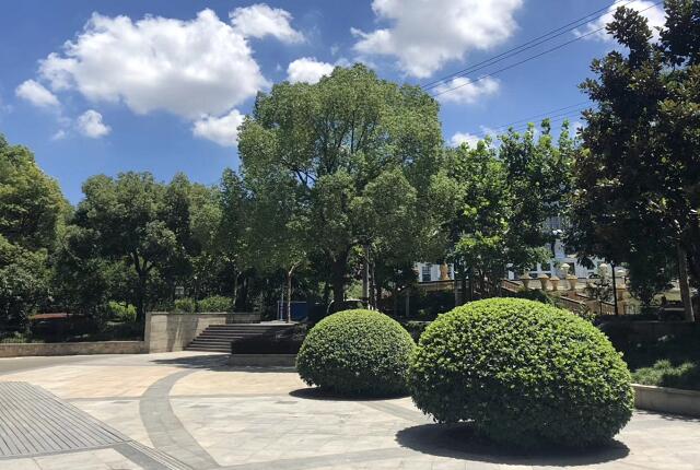 姑娘果的功效與作用及禁忌,姑娘果可以補腎壯陽