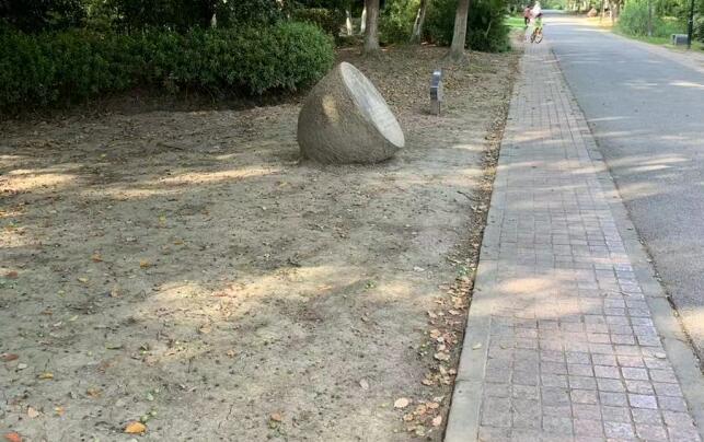 姑娘果的功效與禁忌,姑娘果的功效與作用