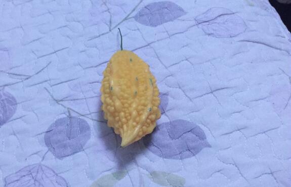 海棠果的功效與作用,孕婦能吃海棠果嗎?