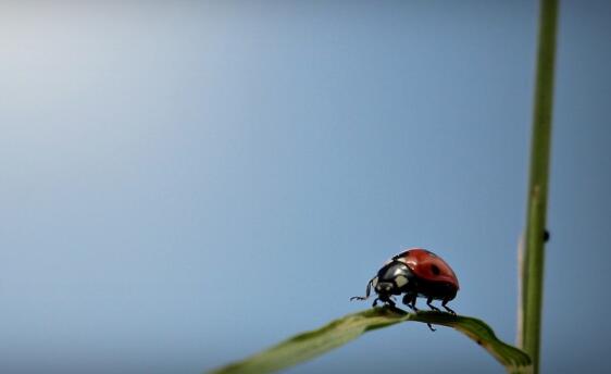 ܹϵĹЧcãܹǟ߀Ǜ