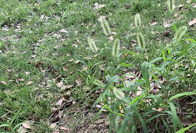 姬存希的護(hù)膚品怎么樣?姬存希養(yǎng)森瘦瘦包有效嗎?