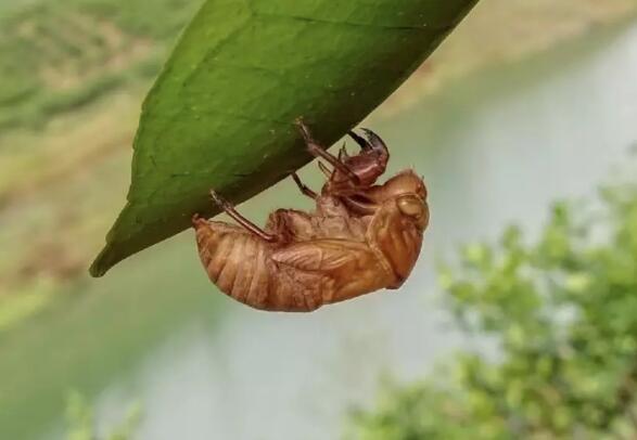 按哪里馬上能拉出屎,如何馬上能拉出屎?