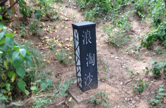 羊肚菌怎么吃最壯陽?羊肚菌的功效