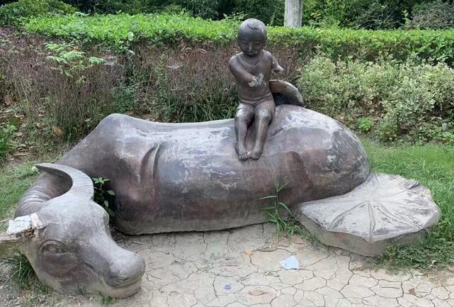 牛大力是什么?牛大力的功效與作用