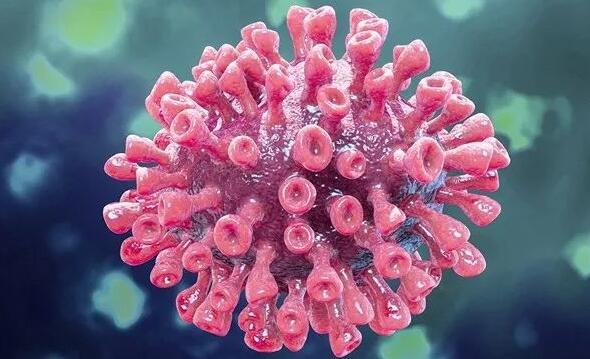 新冠病毒起源于哪里?日本發(fā)現(xiàn)特殊病例