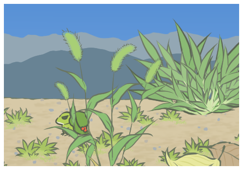 生蠔的功效與作用,菊花決明子茶的功效與作用