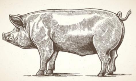 ֻһʲôǾǴʲô