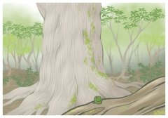 美國原木檢出檢疫性林木害蟲,我國暫停美國原木進口