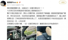 女星戴燕妮在巴黎被破窗搶劫,法國巴黎治安怎么樣?